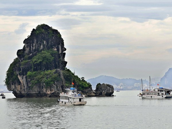 Kinh nghiệm du lịch Quảng Ninh: Đi đâu? Chơi gì?