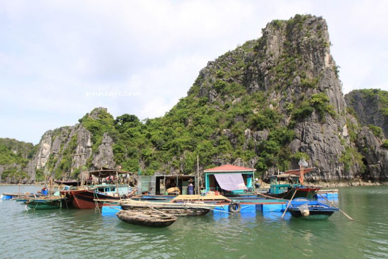 Khám phá làng chài – Chốn bình dị giữa lòng di sản tại Quảng Ninh