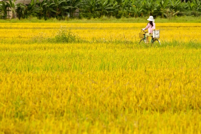 Đến Khe Song Thác Bạc Yên Tử ngắm vẻ đẹp ẩn mình giữa thiên nhiên